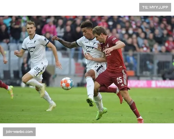 霍芬海姆客场战绩高居榜首 成赛季最大黑马